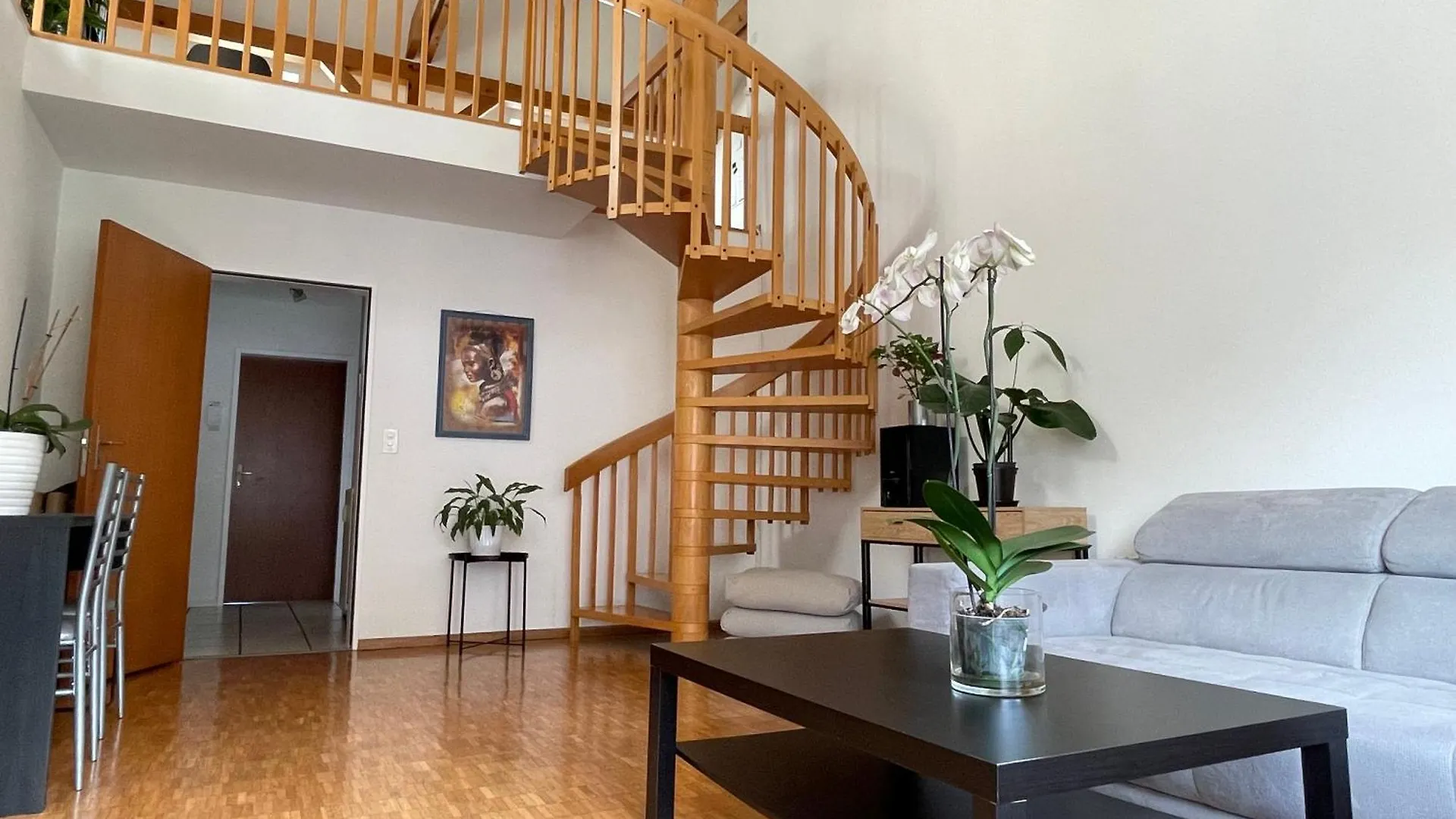 Amazing Duplex In Center Basel! Apartment Switzerland