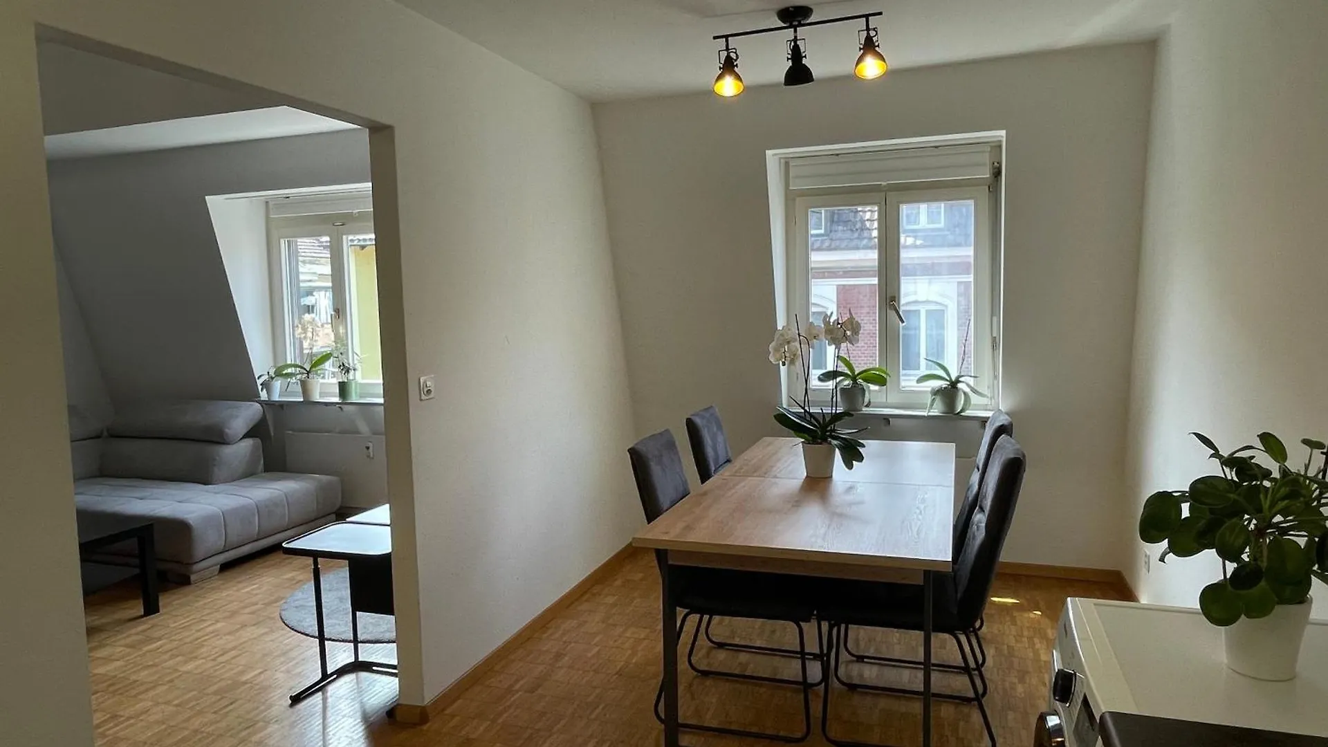 Amazing Duplex In Center Basel! Apartment  Basel