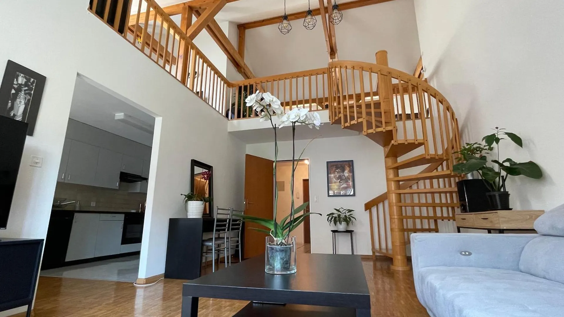 Amazing Duplex In Center Basel! contacts